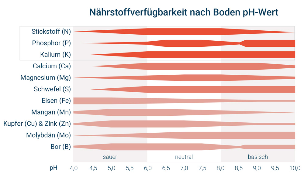 Infografik zur Nährstoffverfügbarkeit nach Ph-Wert