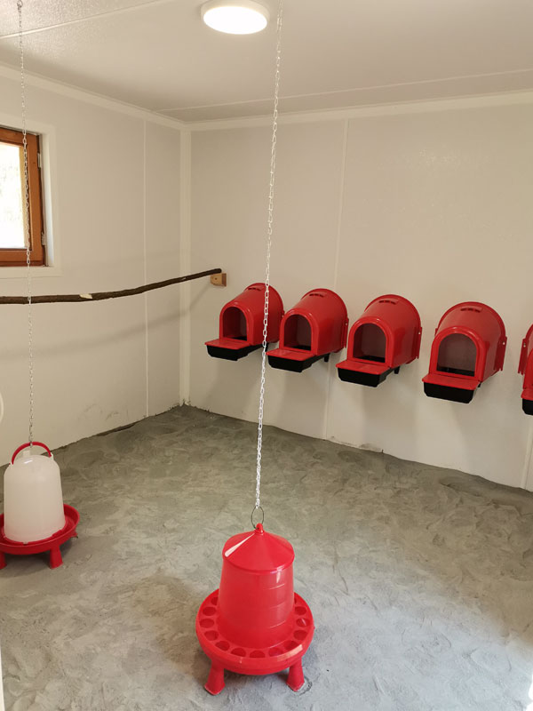 45-fertig-sanierter-huehnerstall-15 Sanierter Hühnerstall mit Einstreu