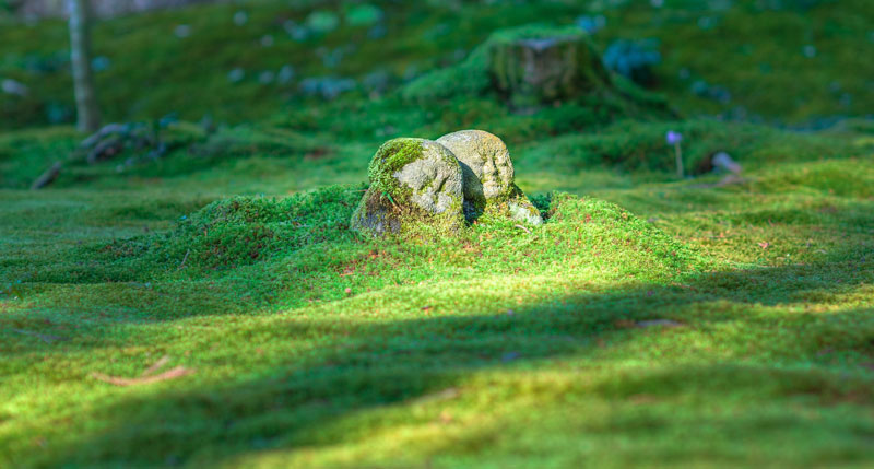 72-zen-garten-moos Moos bedeckt Steinstatue
