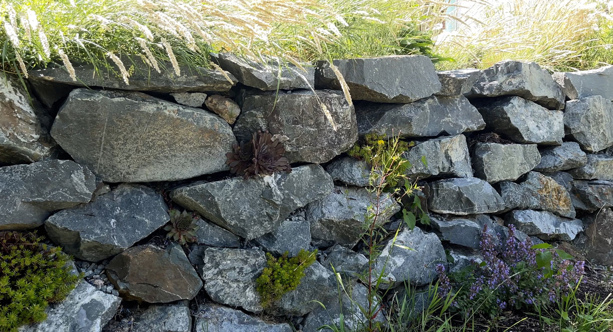 Trockenmauer wurde bepflanzt