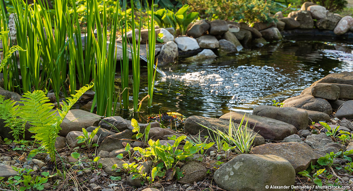 Gartenteich umrundet vom Steinen