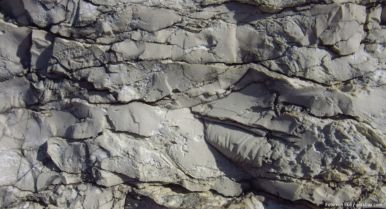 Muschelkalkgestein