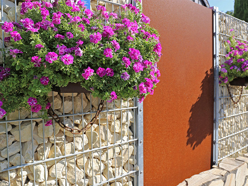112-gabionen-sichtschutz Gabinionen mit Blumen oben als Verschönerung