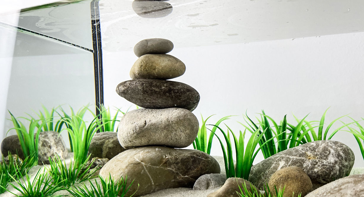 header-kahmhaut-1230x667 Steinstapel in einem Aquarium