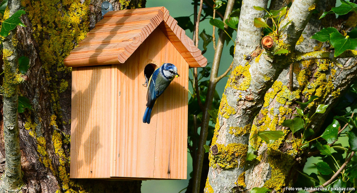 Hölzernes Vogelhäuschen an einem Baum