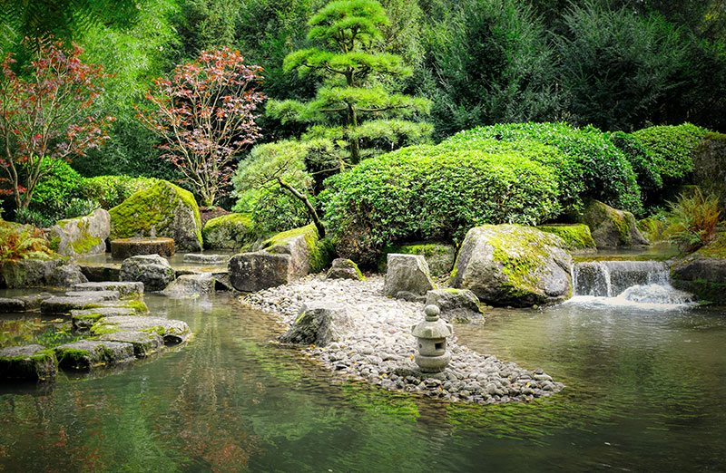 Teich im Japangarten