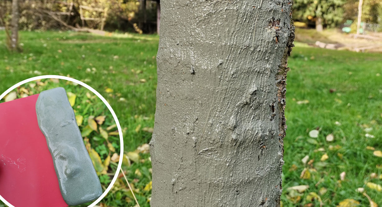 Baumanstrich aus Urgesteinsmehl