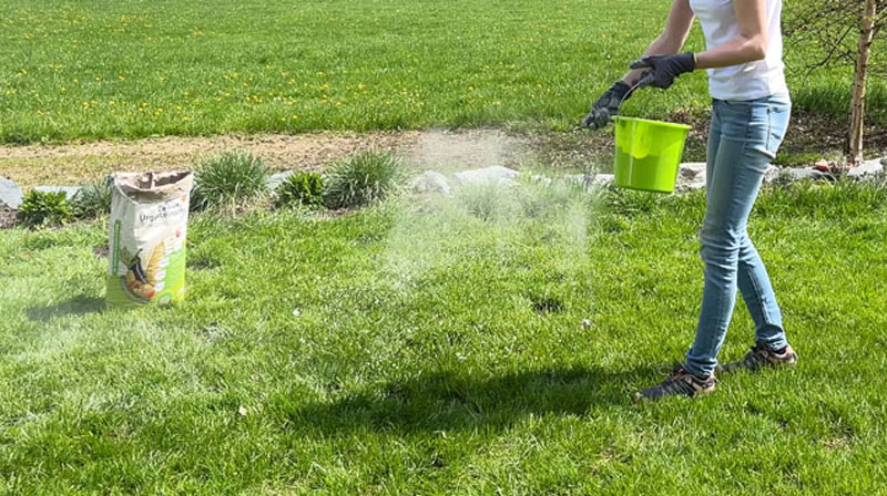 104-urgesteinsmehl Person streut Urgesteinsmehl im Garten