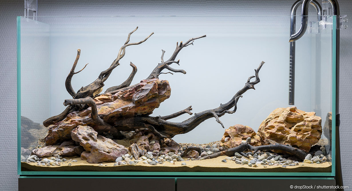 header-dark-start-1230x667 Gestaltetes Aquarium ohne Wasser