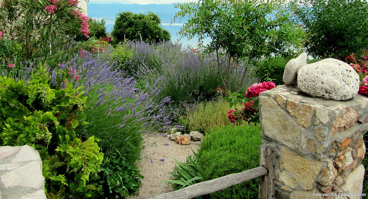 header-mediterraner-garten-1230x667 Mediterraner Garten mit Steinzaun