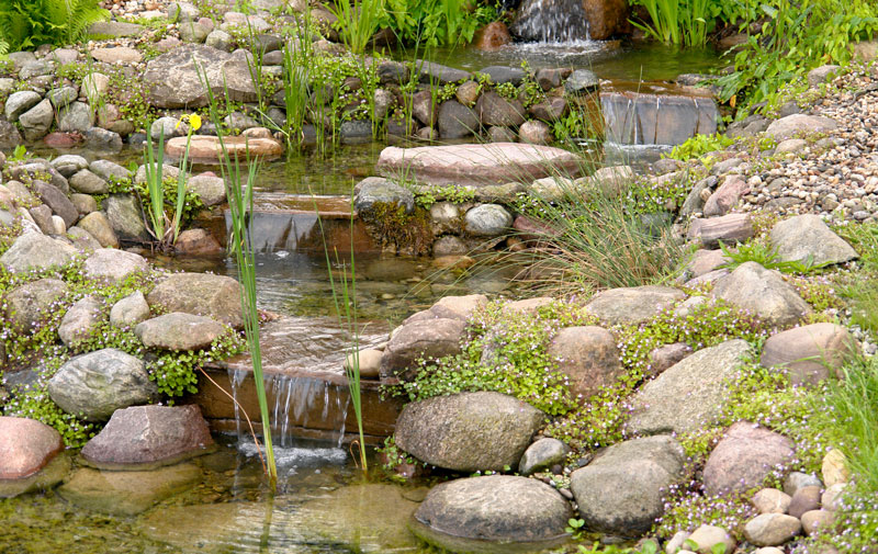 65-bachlauf Bachlauf mit kleinen Wasserfällen
