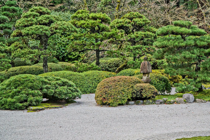 72-formgehoelze-im-zen-garten Formgehölze im Zen-Garten