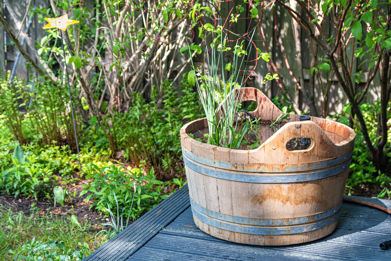 65-mini-teich Hölzerner Bottich mit Wasser und Pflanzen im Garten
