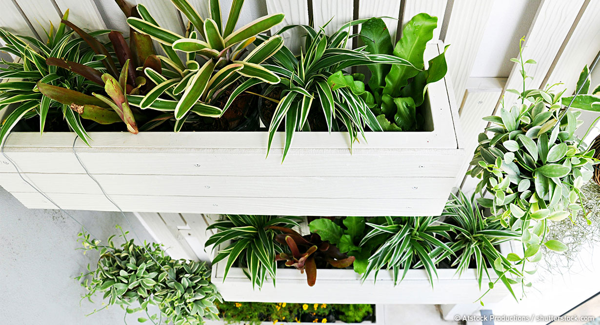 header-vertikaler-garten-1230x667 Blumenkästen wurden übereinander verbaut
