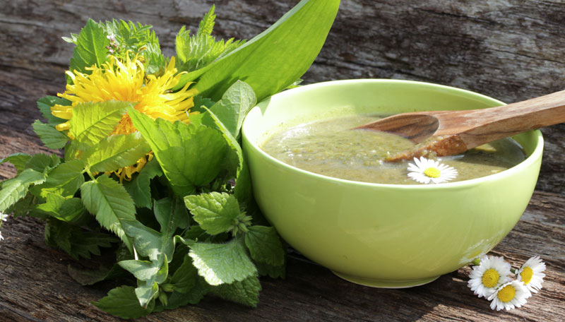 88-unkraut-essen Löwenzahnsuppe mit Gänseblümchen