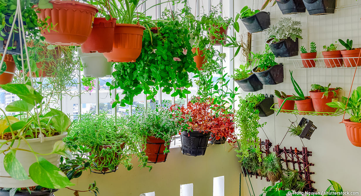 header-urban-gardening-1230x667 Urban Gardening in einer Wohnung