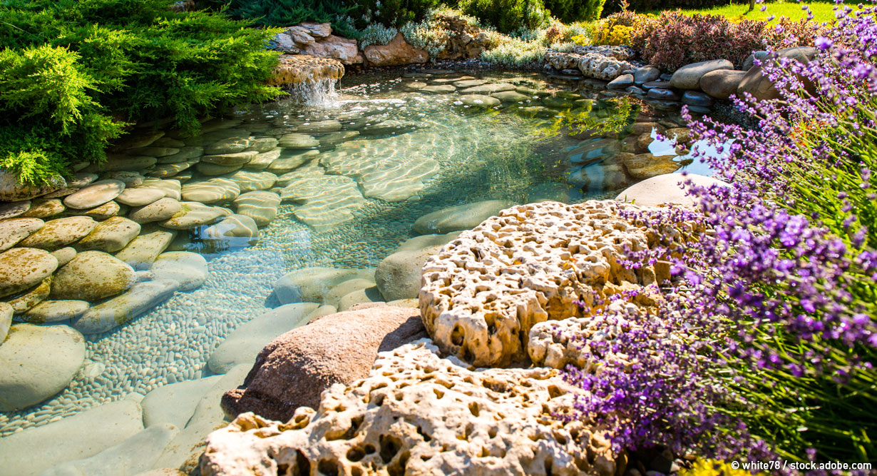 header-gartenstil-wassergarten-1230x667 Teich in einem Wassergarten