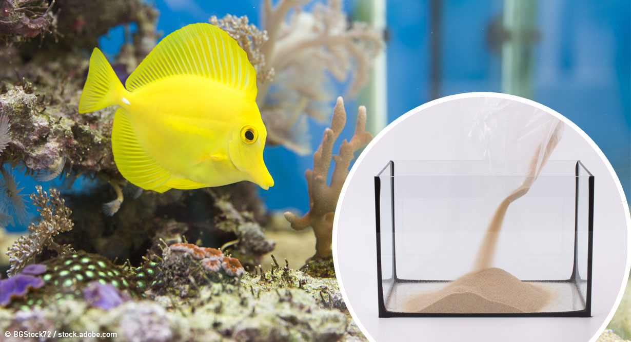 Bodengrund eines Aquariums wird eingefüllt
