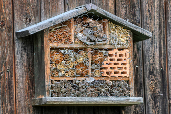 20-Steingarten-Post-Insektenhotel-4 Insektenhotel hängt an einer Holzwand