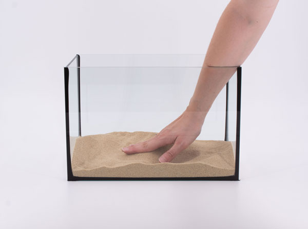 28-aquarium-mit-sand-gefuellt-2 Sand als Grundlage in einem Aquarium